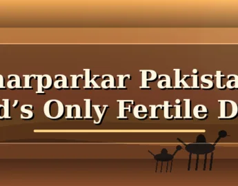 Tharparkar Pakistan fertile desert landscape with sand dunes, camel silhouettes, village huts, greenery, sunset, and centered blog title text.