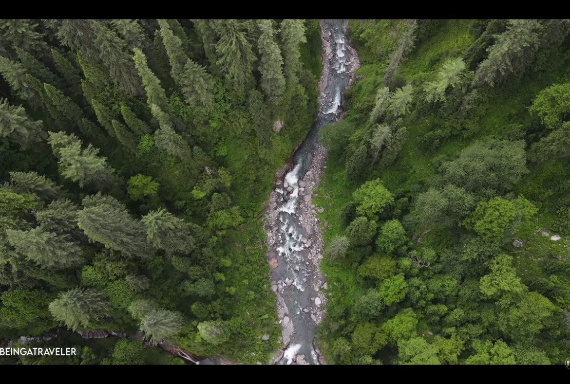 Sharan Forest: A Beautiful Place in Kaghan Valley - Pakistan Tour n travel