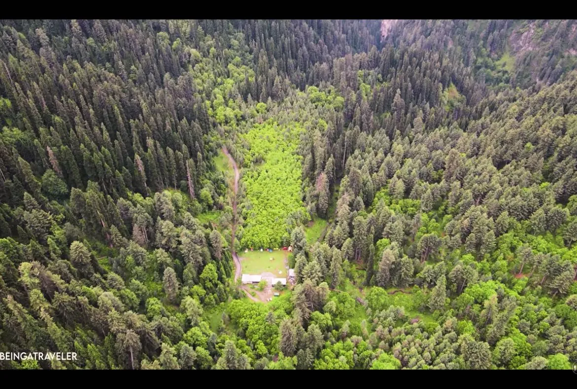 Sharan Forest: A Beautiful Place in Kaghan Valley - Pakistan Tour n travel