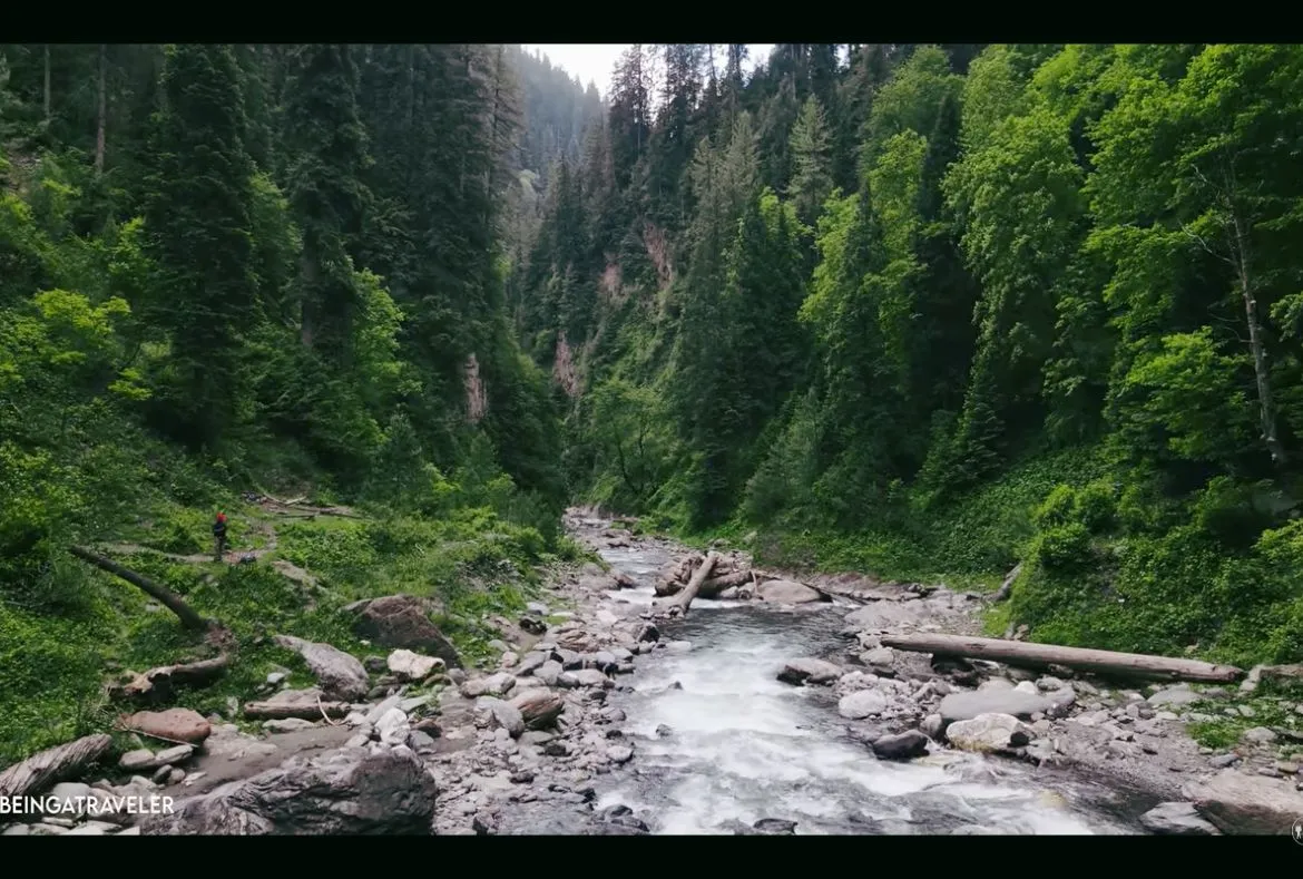 Sharan Forest: A Beautiful Place in Kaghan Valley - Pakistan Tour n travel