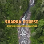 Sharan Forest: A Beautiful Place in Kaghan Valley - Pakistan Tour n travel