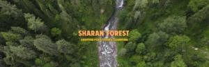 Sharan Forest: A Beautiful Place in Kaghan Valley - Pakistan Tour n travel