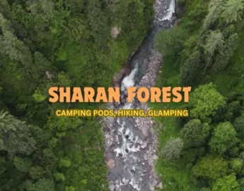 Sharan Forest: A Beautiful Place in Kaghan Valley - Pakistan Tour n travel