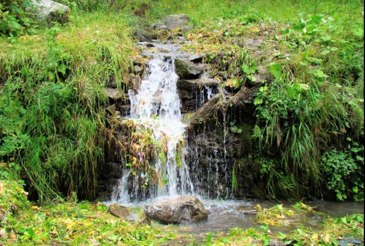 Sharan Forest: A Beautiful Place in Kaghan Valley - Pakistan Tour n travel