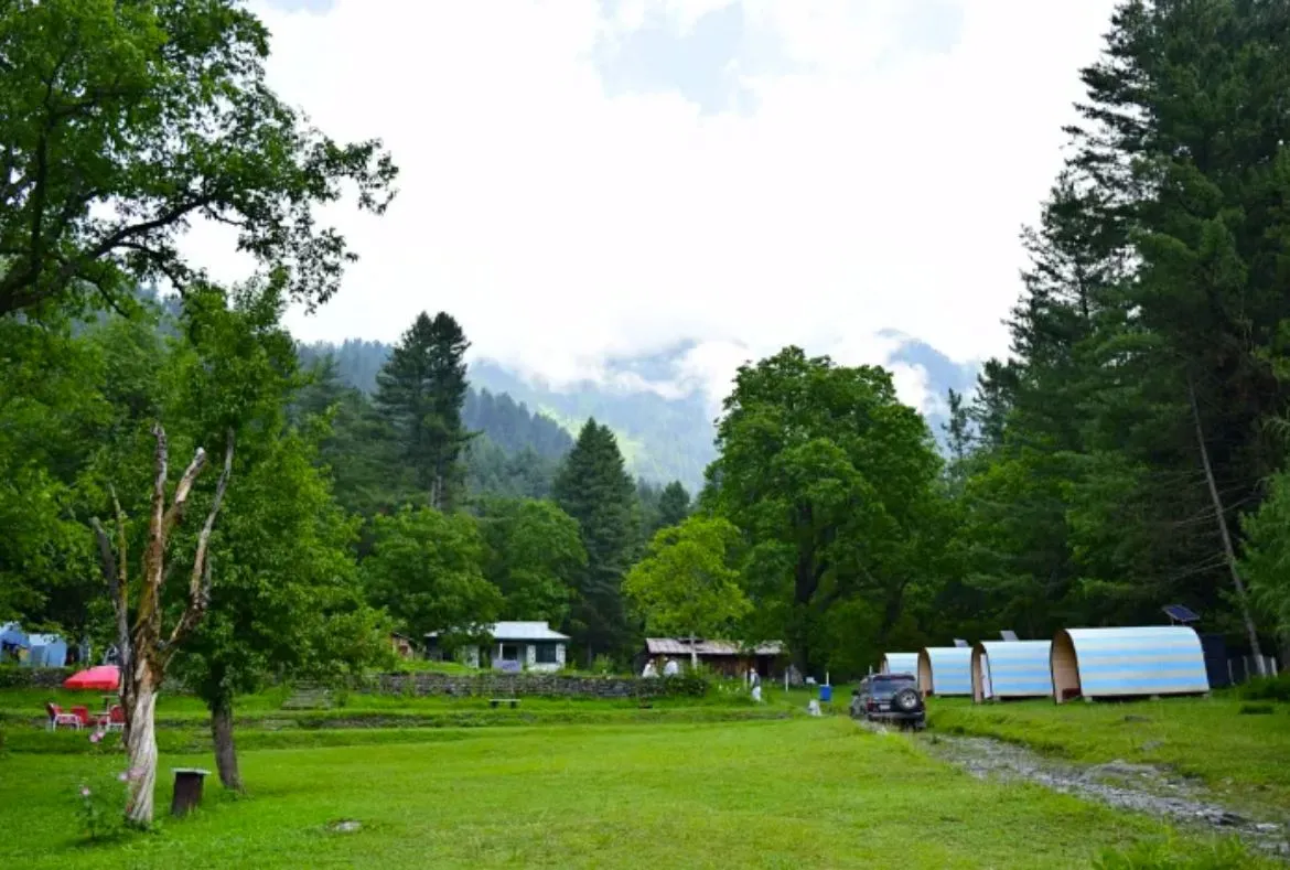 Sharan Forest: A Beautiful Place in Kaghan Valley - Pakistan Tour n travel