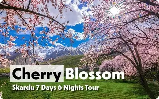 Cherry-Blossom-Skardu-7-Day-Tour