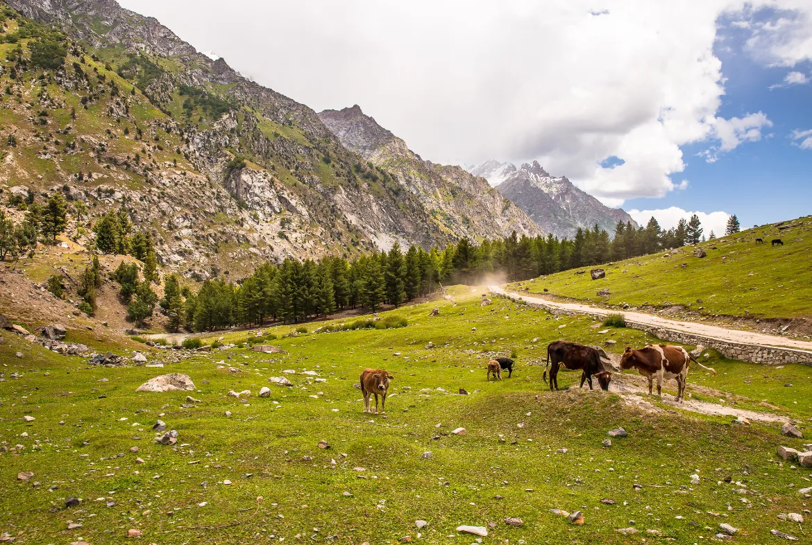 My Unforgettable Journey to Gilgit and Skardu: Exploring the Gems of Northern Pakistan - Pakistan Tour and travel