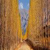 Skardu 7 Days Tour Packages by Pakistan Tour and Travel