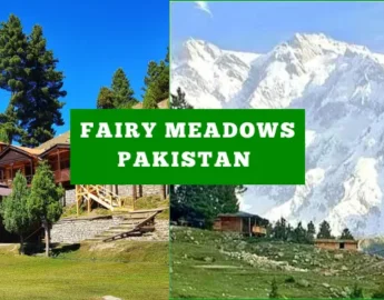 Travel Guide To Fairy Meadows Pakistan - Pakistan Tour n Travel