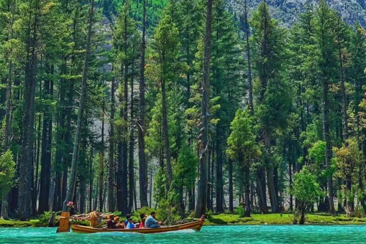 10 Famous Forests In Pakistan - Location, Area Covered