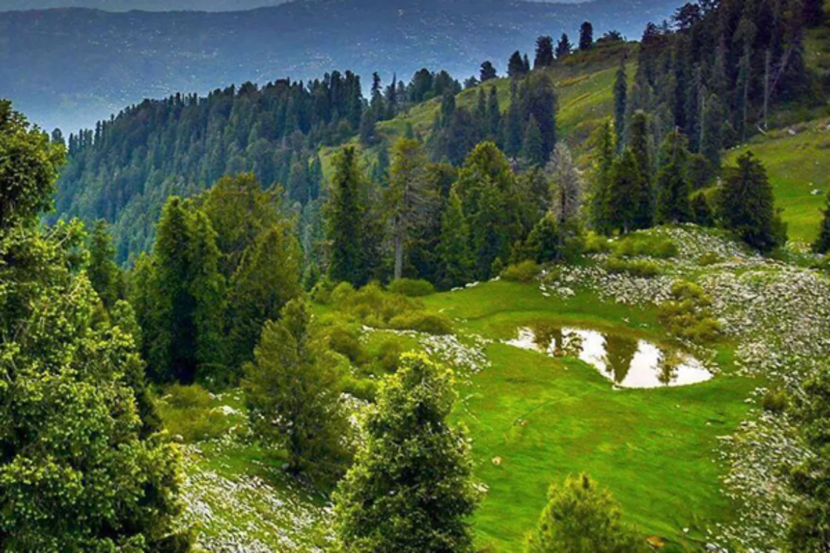 Top 10 forests in Pakistan - Mushkpuri Jungle