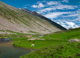 7 days naran kaghan tour packages by pakistan tour and travel for the couples and family book now