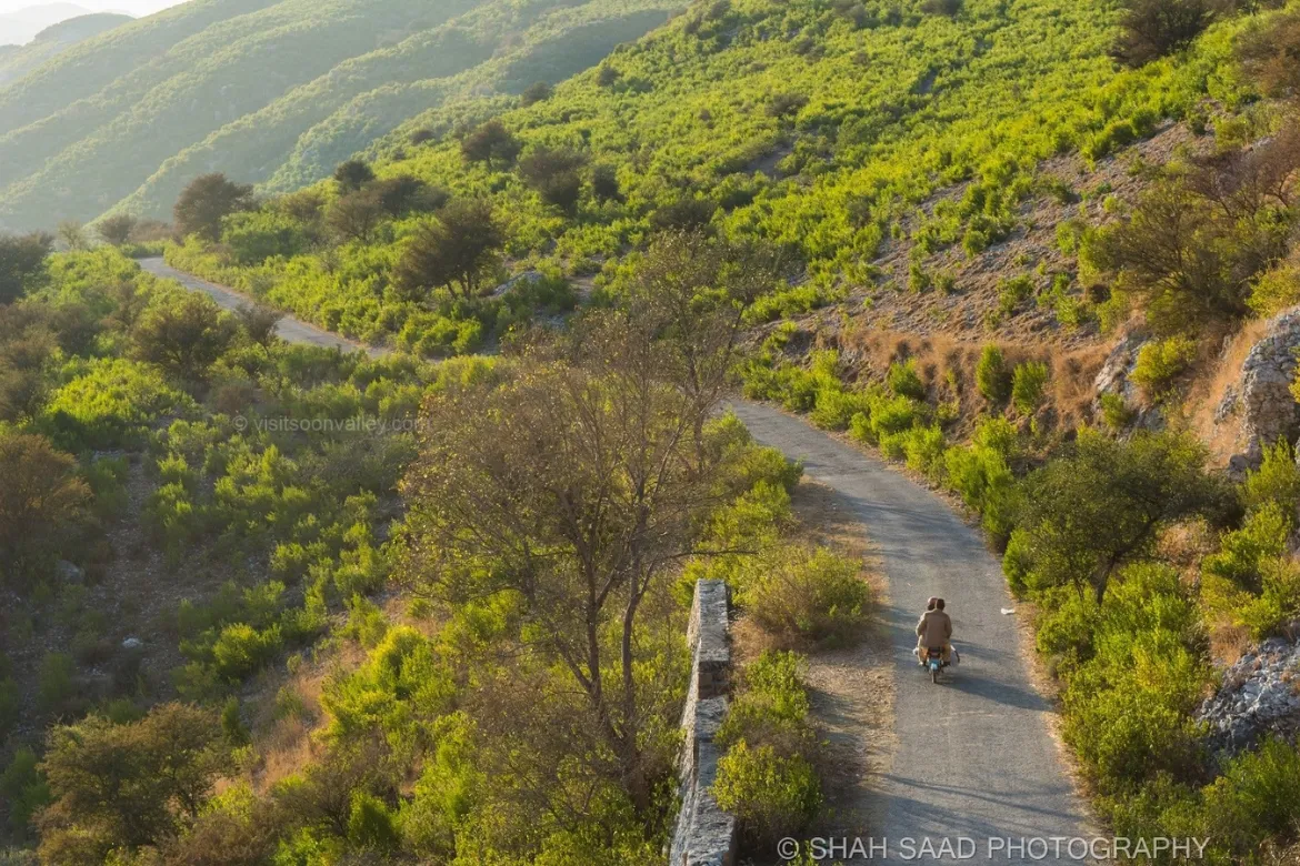 Top 10 forests in Pakistan - soon Valley Forest