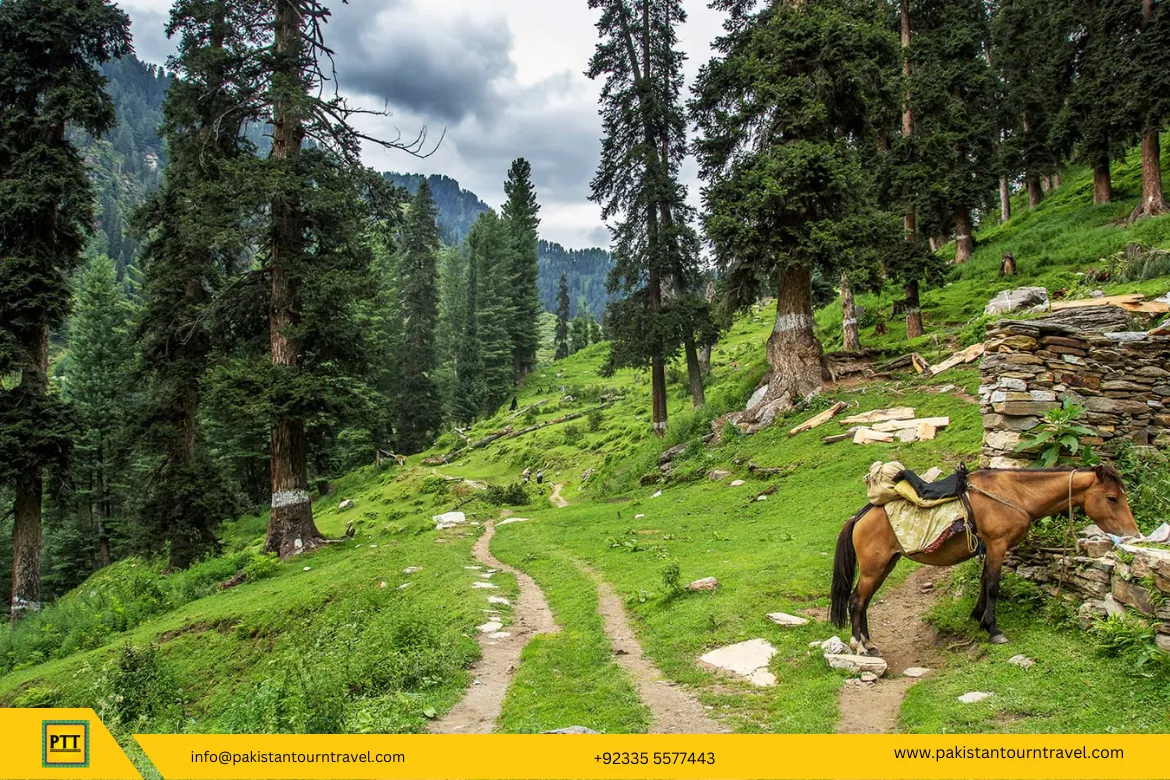 Siran Valley Manshera – A Beautiful Valley in KPK - Pakistan Tour n Travel