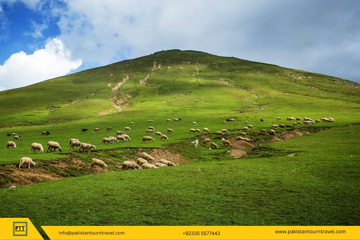 Siran Valley Manshera – A Beautiful Valley in KPK - Pakistan Tour n Travel