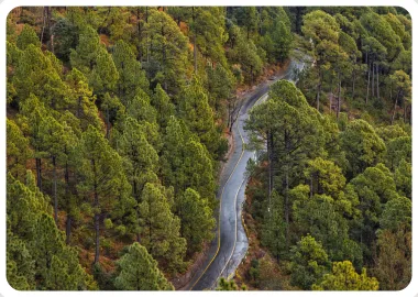 Murree tours -Top pakistan tour packages by pakistan tour and travel - Pakistan tours at the cheap and affordable rates - book your tour now