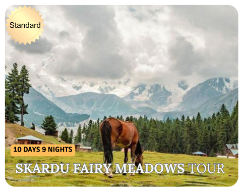 Skardu fairy meadows tour for families and couples at best rates by pakistan tour n travel - book now