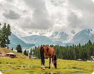 skardu
