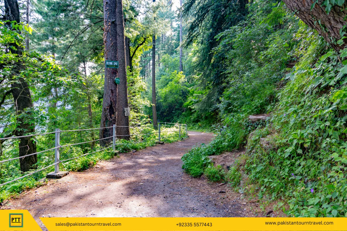 Top 10 Things to Do in Murree That Aren’t in Every Tourist Guide - pakistan tour n travel blog 