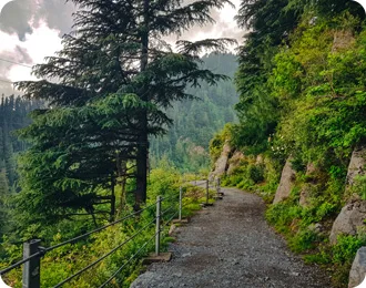 4-day murree tour 2026