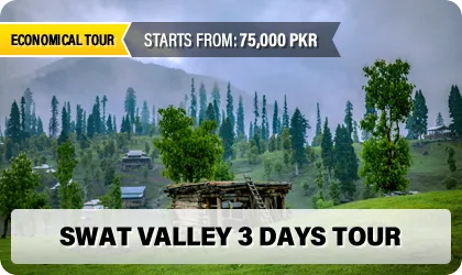 Swat Valley 3 Days Tour - Lush green hills, pine trees and traditional wooden house in misty mountains