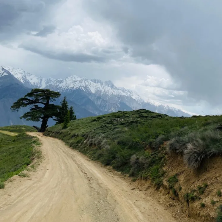 Chitral Gol National Park home of Markhor Pakistan