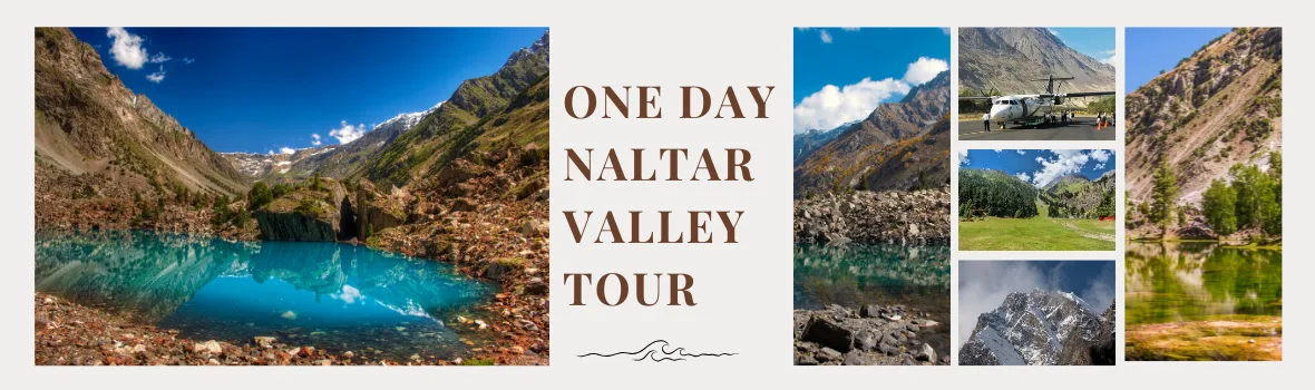 one day naltar valley tour from gilgit airport - best for adventure lovers - lowest price - full day excursion - book now one day naltar valley tour from gilgit airport - best for adventure lovers - lowest price - full day excursion - book now