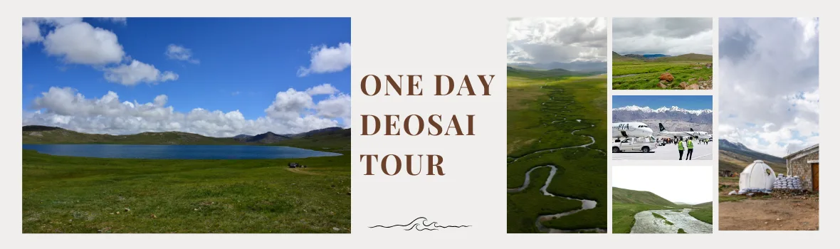 One Day Deosai Tour- "Travelers exploring Sheosar Lake on Deosai day tour"- book now One Day Trip to Deosai National Park from Skardu Airport 2026 - best tours for couples, families, and group at affordable rates, book now