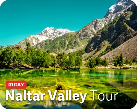 Naltar Valley Tour Package