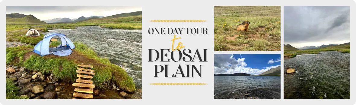 Deosai National Park Day Tour from Skardu featuring Sheosar Lake, vast alpine plains, wildlife, and breathtaking mountain scenery in Gilgit Baltistan, Pakistan.