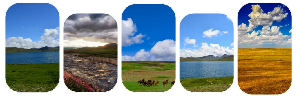 Travel guide for deosai plains and national park - book a day to deosai to experience the wild life at doesai