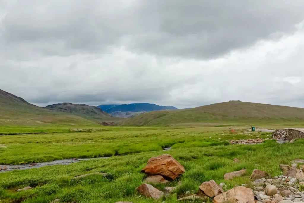 Spring view at deosai national park everything look mezmerzing the vast plans the wild life
