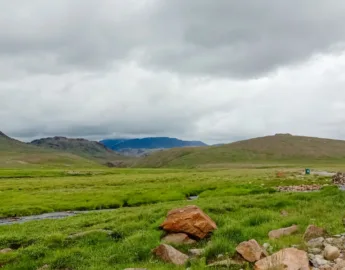 Spring view at deosai national park everything look mezmerzing the vast plans the wild life