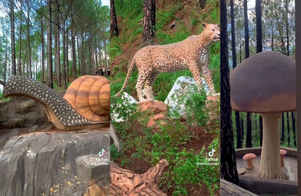 Bansra Gali Wildlife Park Murree