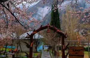 Garden view of Osho Thang Hotel