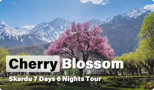 7 Days Cherry Blossom Tour Skardu