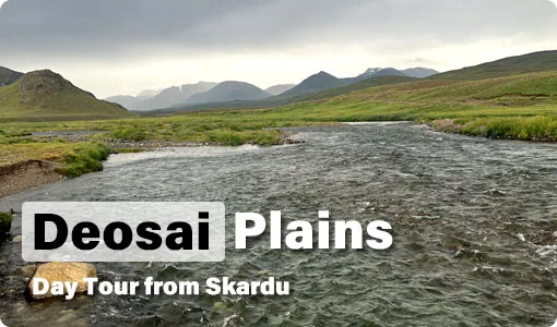 Deosai National Park Day Tour Package from Skardu