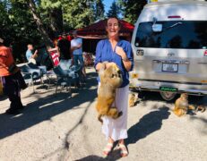 Foreign Tourist Monkey Interaction Murree Tour Foreign female tourist interacting with a monkey at a road stopover during a private Murree tour by Pakistan Tour & Travel