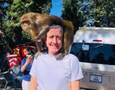 International Traveler Monkey Interaction Galyat Stopover Foreign male tourist smiling with a monkey sitting on his shoulder during a Murree road stopover with Pakistan Tour & Travel