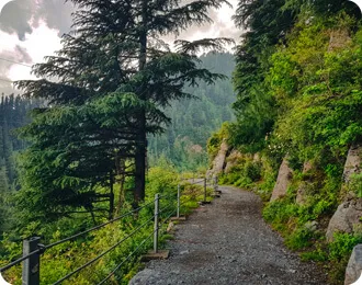 4 Days Murree, Kashmir & Islamabad Tour Package by Pakistan Tour & Travel
