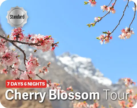 7-day Hunza Valley spring cherry blossom honeymoon tour package with fort visits