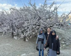 Mother and daughters standing beneath a canopy of white spring cherry blossoms in Nagar